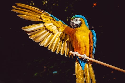 A stunning blue and yellow macaw with wings spread, perched gracefully on a wooden stick.