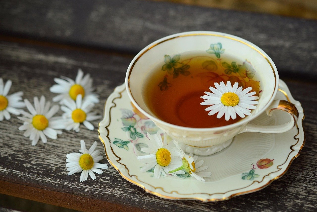 cup, tee, porcelain, drink, decor, break, still life, teatime, herbal tea, tea, chamomile tea, health, tea cup, herbs, tumblr wallpaper