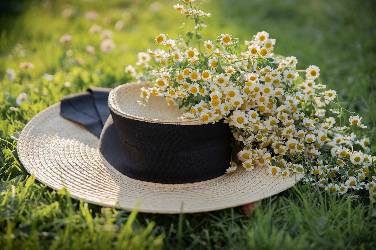 hat, chamomile, summer, flowers, flower wallpaper, beautiful flowers, flower background, bloom, plant, fashion, woman, nature, girl, grass, lawn