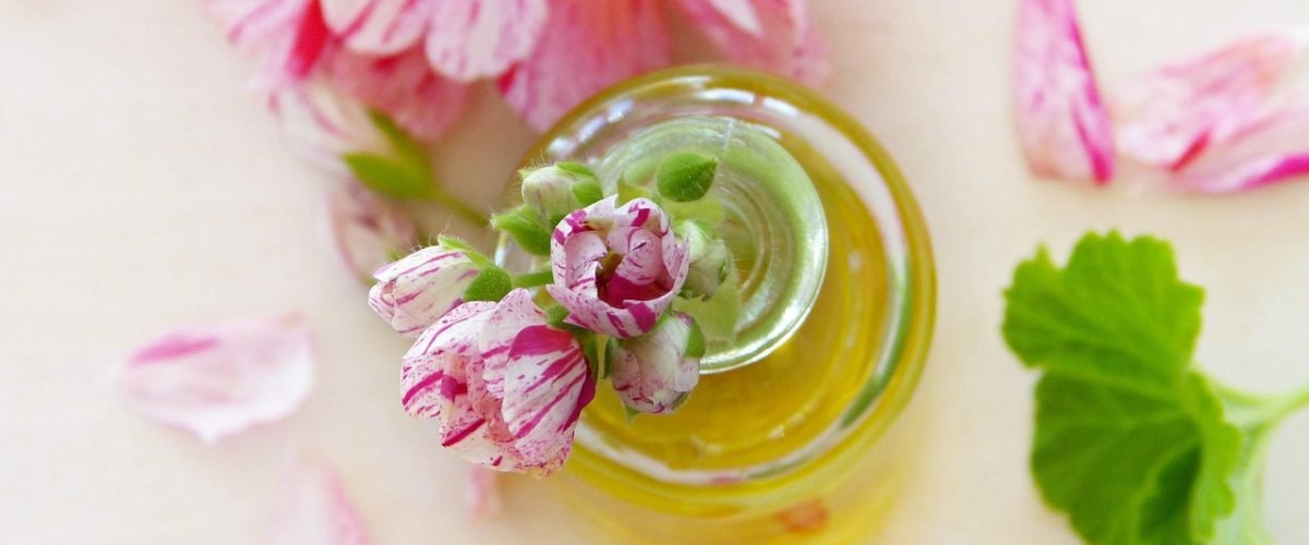 oil, geraniums, leaves, blossoms, essential oils, fragrance, health, aroma, aromatherapy, pink, nature, bio, naturally, cosmetics, beauty, maintenance, personal hygiene, skin, skin care, manufacturing, sesame oil, olive oil, linseed oil, coconut oil, wellness, recreation, relaxation, oil, essential oils, skin care, skin care, skin care, skin care, skin care, olive oil, coconut oil, coconut oil