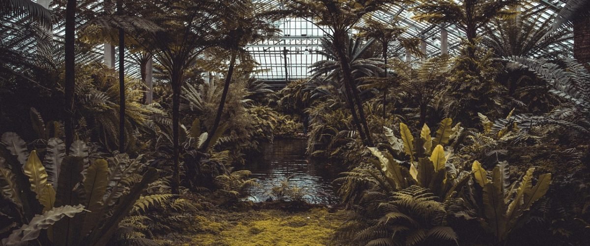 conservatory, plants, greenhouse, trees, garden, nature, eco, horticulture, ecosystem, glasshouse, environment, ecology, agriculture, hexagon, tropical, botanical, architecture, conservation, environmental, greenhouse, greenhouse, greenhouse, greenhouse, greenhouse, ecosystem, ecosystem